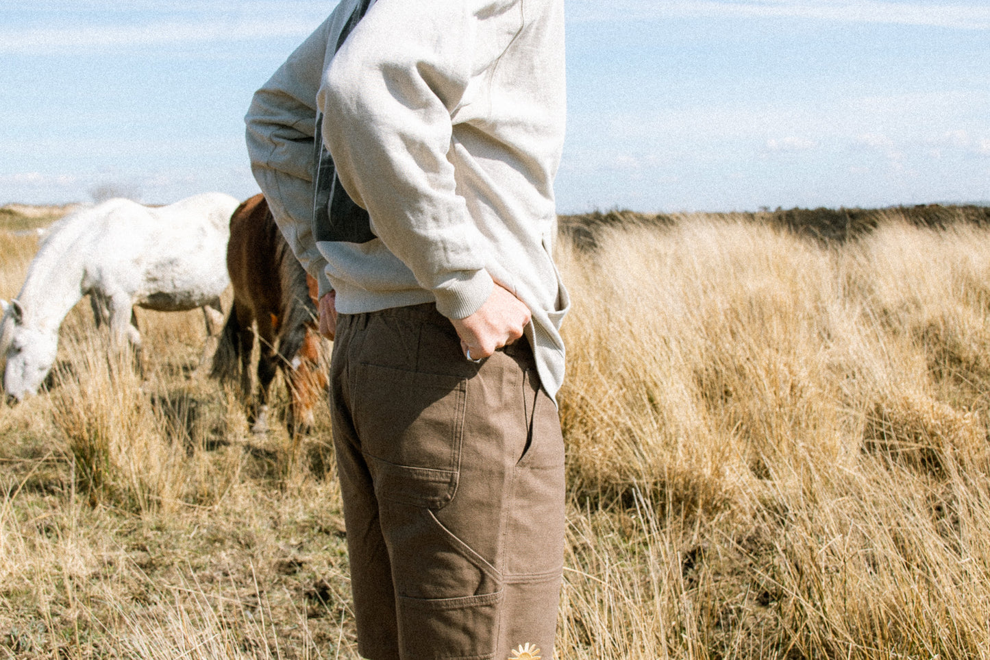 Duck Canvas Shorts