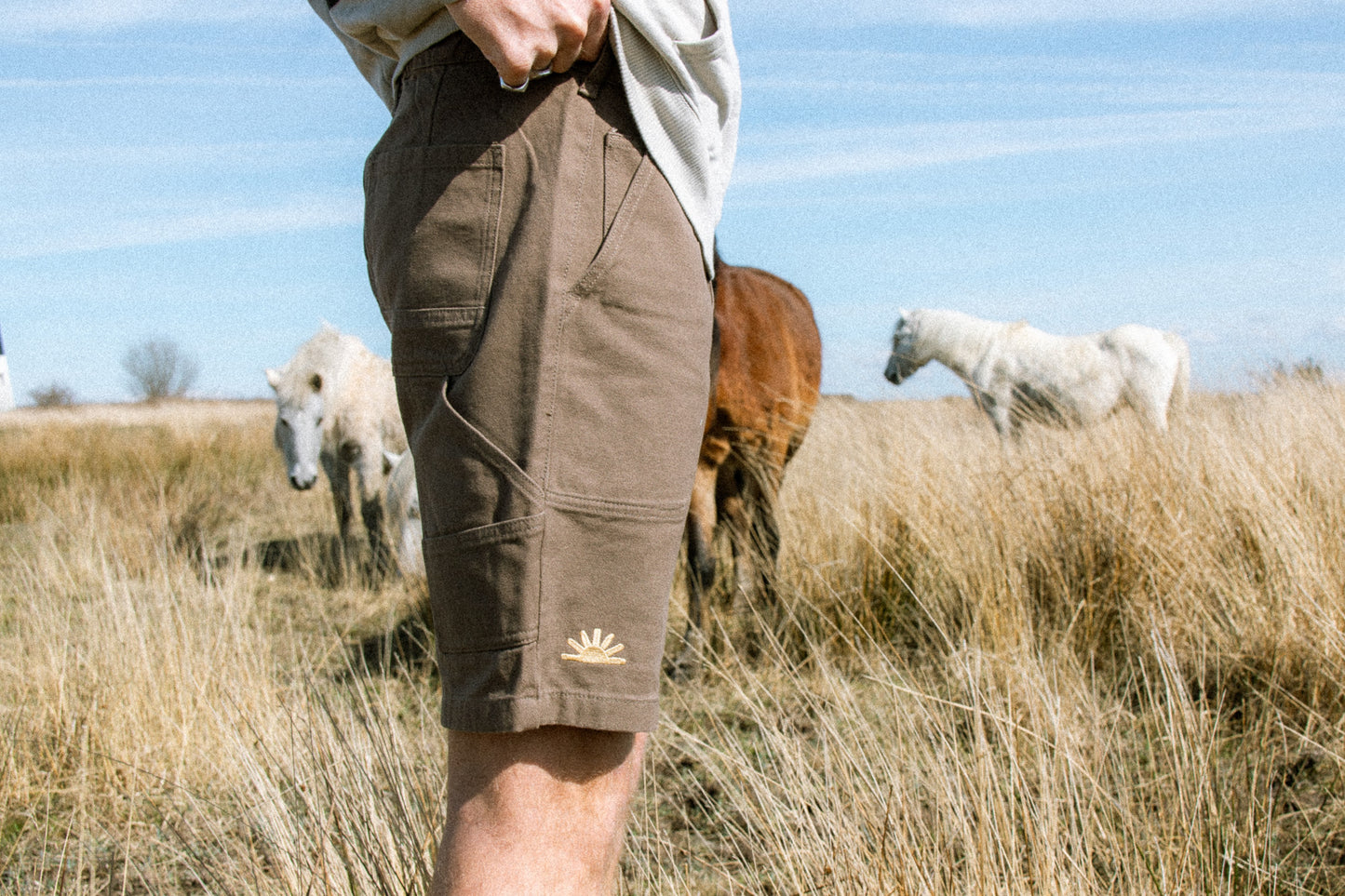 Duck Canvas Shorts